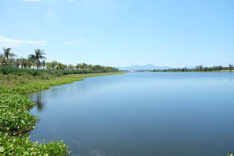 Dòng sông Cổ Cò là con đường giao thương đường thủy kết nối Đà Nẵng – Hội An