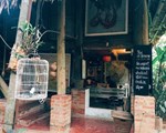 Homestay "độc nhất vô nhị"  ở Hà Nội, trải nghiệm 'sống trên cây'