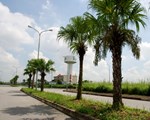 Chuyển Khu công nghiệp Hà Nội - Đài Tư thành khu đô thị