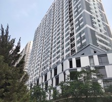 Chung cư Handico Complex