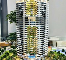  Artstella