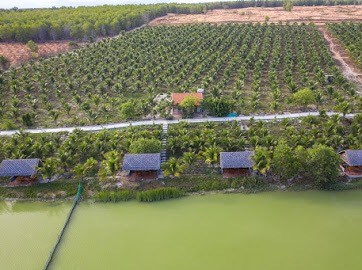 Bán đất Bình Thuận 2Ha huyện Bắc Bình mặt tiền nở hậu gần đường liên