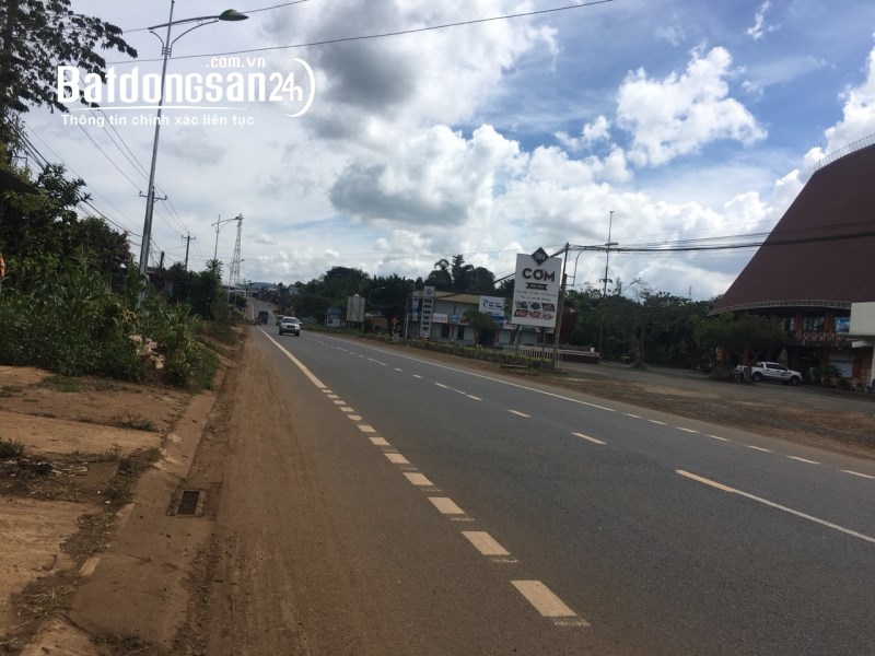 Bán 3000m2 xã Đinh Trang Hoà, Di Linh, Lâm Đồng.