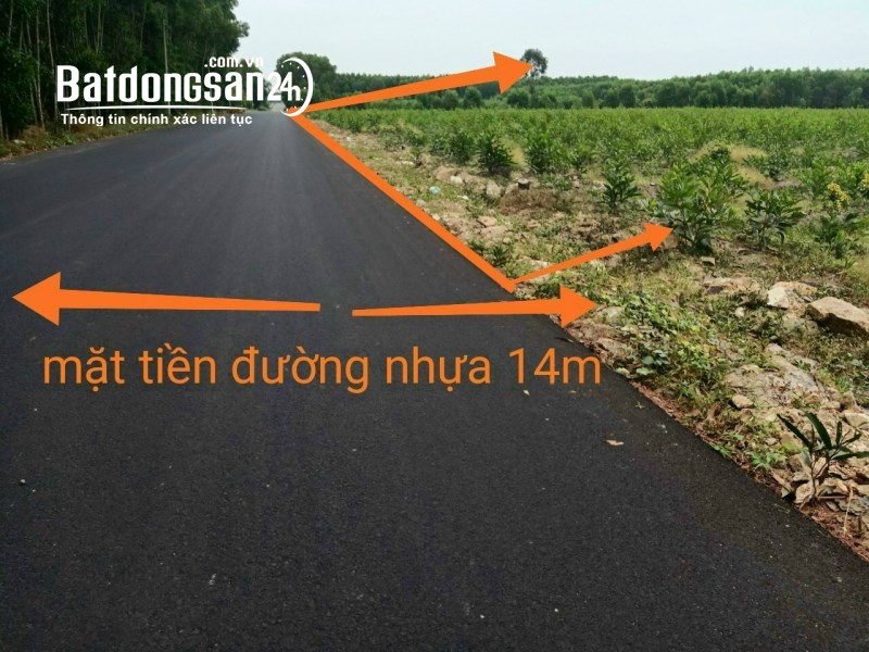 Chào đón năm moi 2021 này có gi hót hót bán đất nền phân lô biệt thự