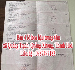 Bán 4 lô hoa hậu trung tâm xã Quảng Trạch, Quảng Xương , Thanh Hoá.