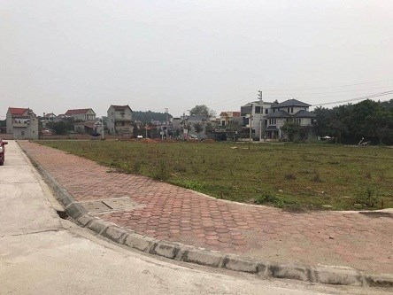 Chính chủ cần bán lô đất trúng đấu giá ở khu 6 thị trấn Hưng Hoá, Tam