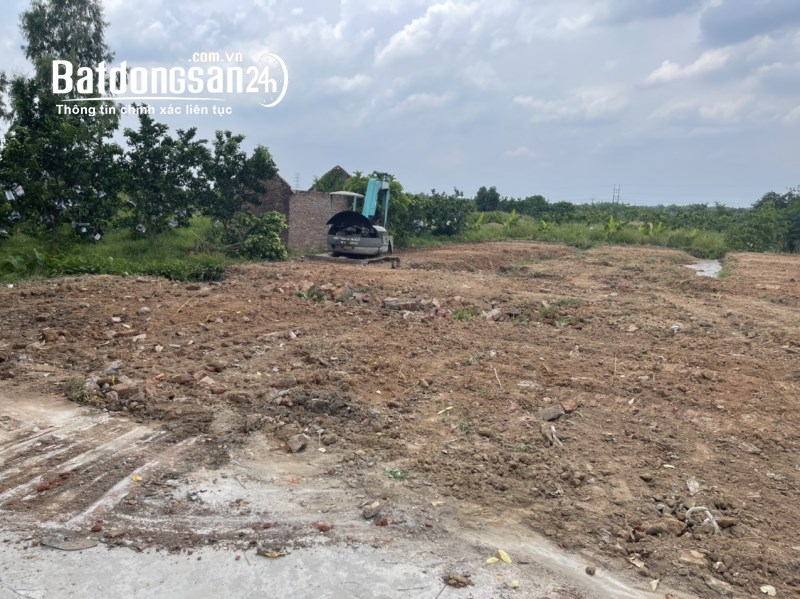 Cần bán 62m2 đất tại tổ 10 thị trấn Quang Minh, Mê Linh, Hà Nội