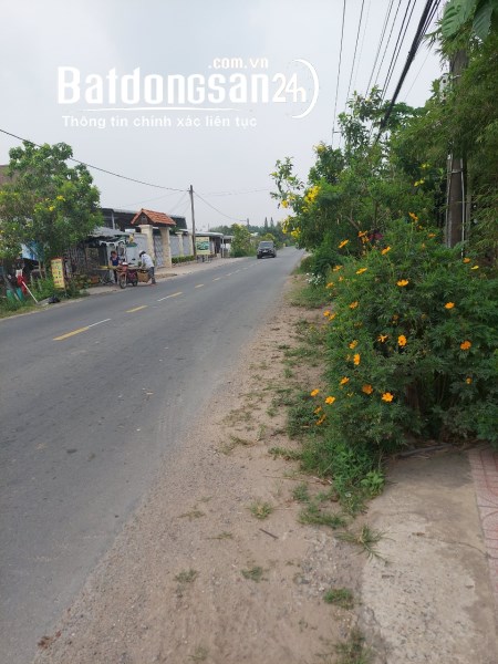 Bán lô đất 1126m2 mặt tiền Nguyễn Thị Rành xã An Nhơn Tây huyện Củ Chi