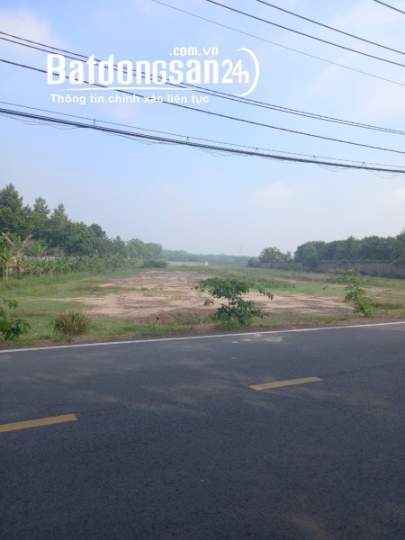 Cần bán đất 2429m2 có 300m thổ cư mặt tiền Nguyễn Thị Rành xã Nhuận
