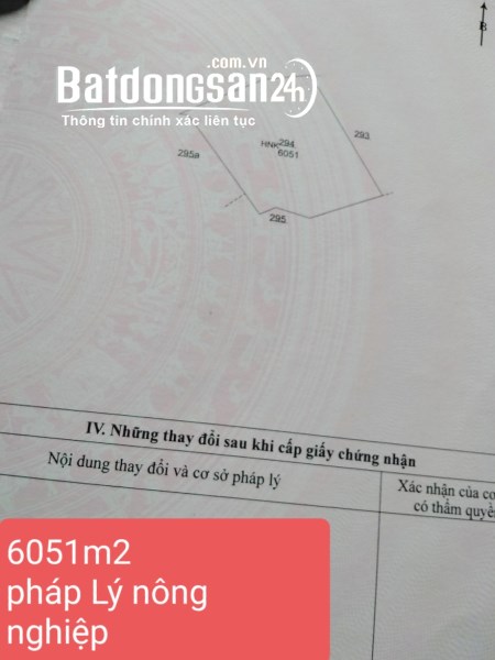 CẦN BÁN GẤP ĐẤT RẪY THÔN 15 - XÃ EABAR - HUYỆN BUÔN ĐÔN - ĐẮK LẮK