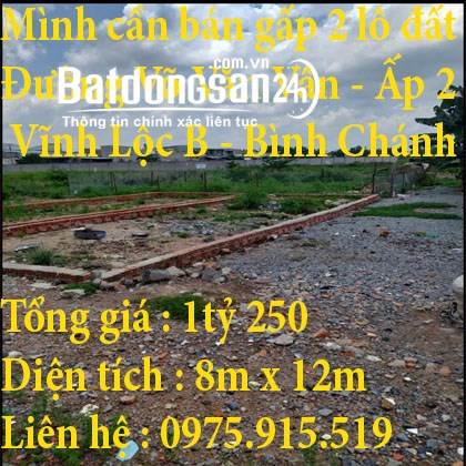 Mình cần bán gấp 2 lô đất tại đường Võ Văn Vân , ấp 2, Vĩnh Lộc B ,Q