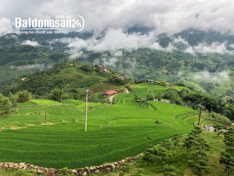 Mảnh đất rộng, rẻ nhất Sapa, view toàn bộ thung lũng, ngay mặt TL