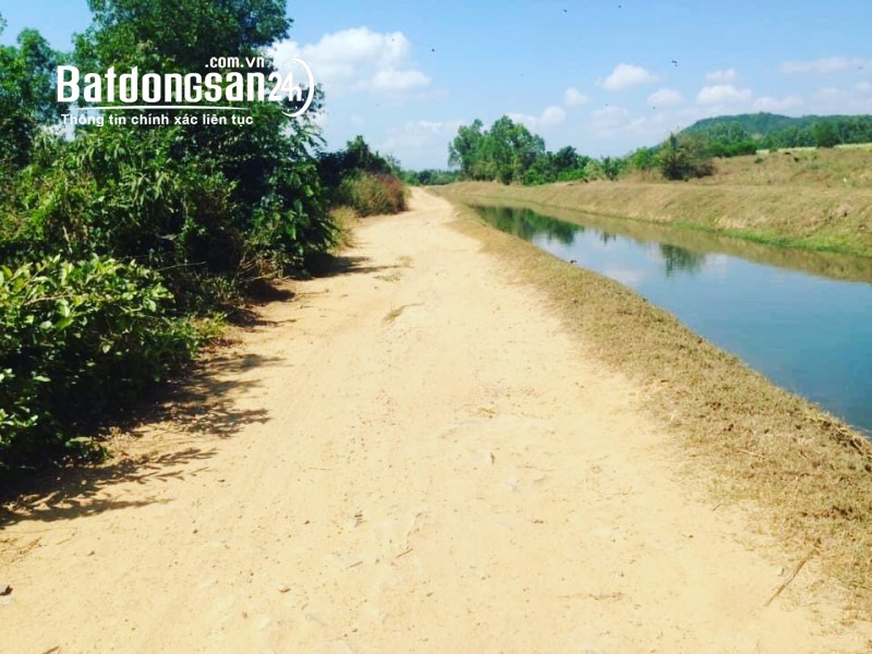 Bán Farm 25ha Siêu Rẻ --- đường ô tô tại Ninh Sơn Ninh Hòa