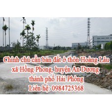 Chính chủ cần bán đất ở thôn Hoàng Lâu,  xã Hồng Phong, huyện  An