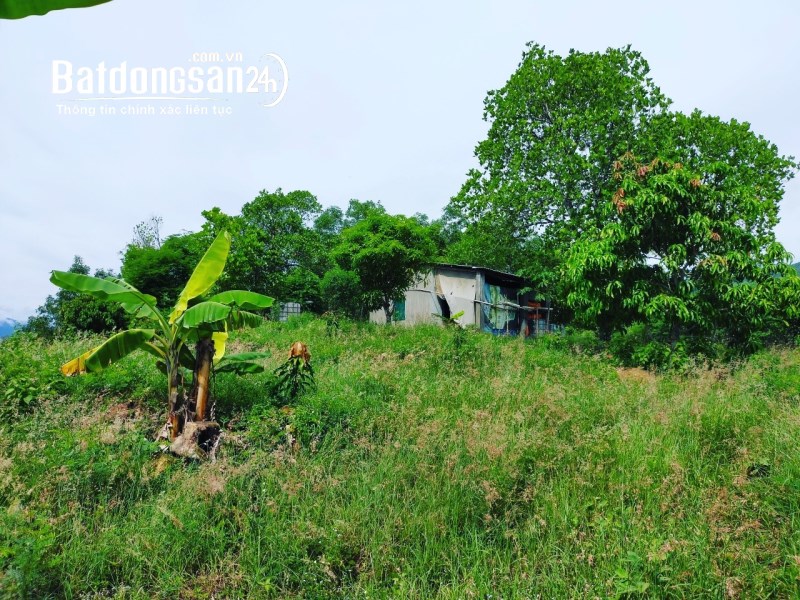 [ 2.78ha -- Mini Farm Diên Sơn ] cần bán