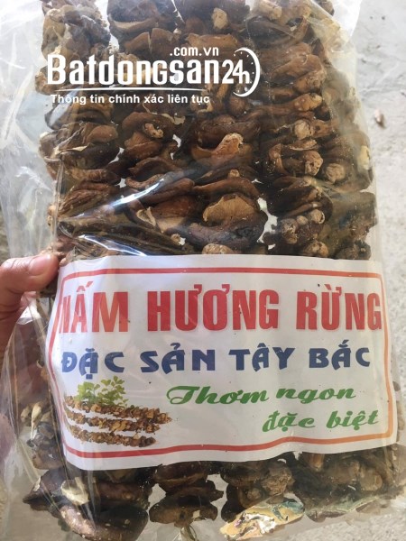 NÔNG SẢN VÙNG MIỀN – XIN KÍNH CHÀO QUÝ KHÁCH