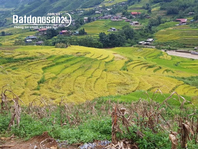 Bán đất 2400m2 Sapa khai thác du lịch HomeStay View đẹp