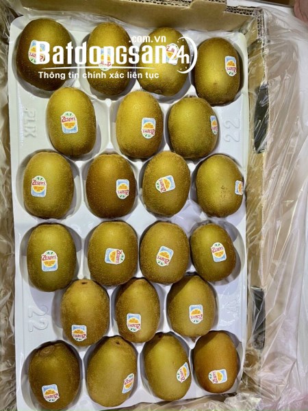 HÀ ANH FRUITS – TỔNG KHO SỈ LẺ TRÁI CÂY TƯƠI NHẬP KHẨU KHU VỰC SÀI