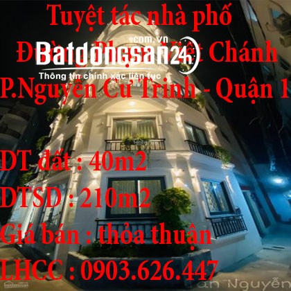 Tuyệt tác nhà phố đường Phạm Viết Chánh, Phường Nguyễn Cư Trinh, Quận