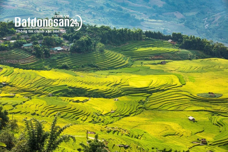 BÁN ĐẤT Y TÝ, BÁT XÁT, LÀO CAI, VIEW SĂN MÂY ĐẸP NGỠ NGÀNG, KHAI THÁC