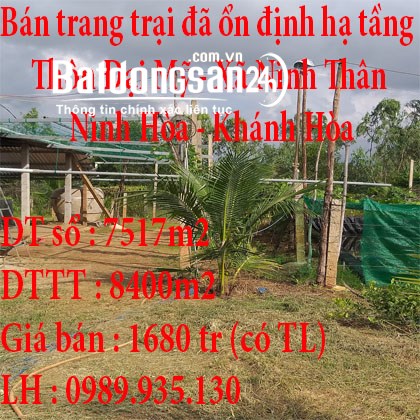 Bán trang trại đã ổn định hạ tầng Thôn Đại Mỹ Xã Ninh Thân H.Ninh Hòa