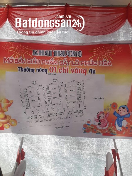 Bán đất Phúc Hòa, Phúc Thọ, oto vào, nhỉnh 500tr, cho nhà đầu tư.