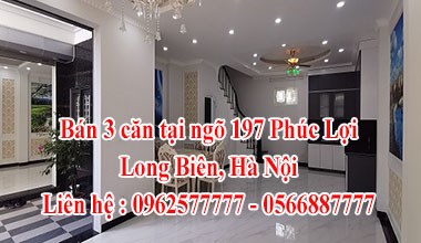 Bán 3 căn tại ngõ 197 Phúc Lợi, Long Biên, Hà Nội