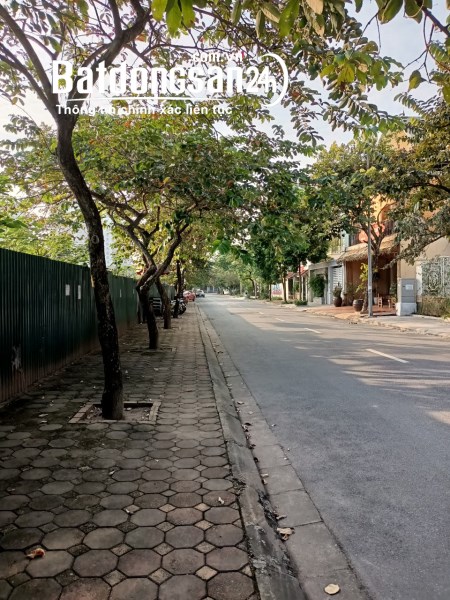 Bán biệt thự BT8 khu đô thị Việt Hưng, Quận Long Biên, diện tích