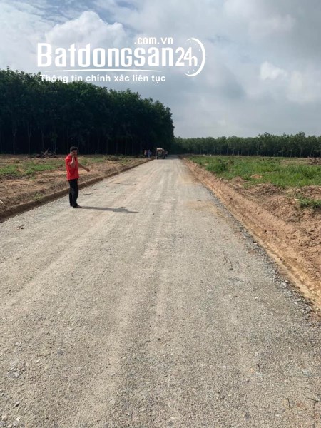 Hàng ngộp mùa dịch, lô đất Chánh Phú Hòa Diện tích 400m - Giá 825