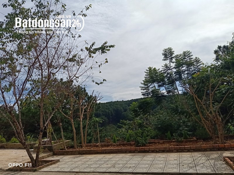 Chào bán 3 căn nhà mới leng keng tại Nguyễn Đình Quân p5, tp. Đà Lạt