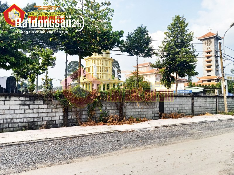 Bán đất đối diện nhà thờ Bắc Hà đường Nguyễn Văn Nì - 500m2 - 14x35 -
