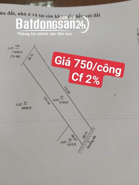 Cần bán 5134m2 đất ruộng, Tây An Bờ Hồ, Phường Mỹ Thới, Long Xuyên,