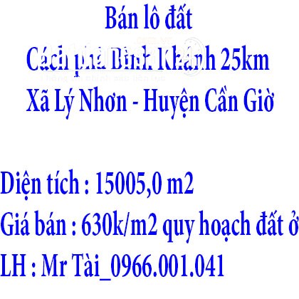 Bán lô đất Cần Giờ diện tích 15005,0 m2 đường Lý Nhơn cách phà Bình