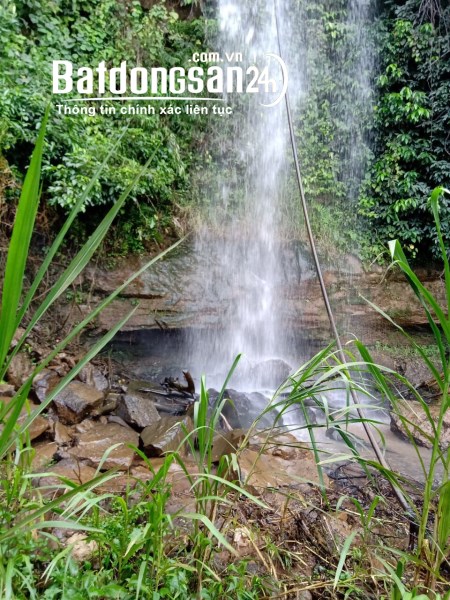 Bán 6.9ha đất có thác, suối tại Xã Tân Châu- Tân Thượng Huyện Di