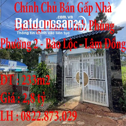 Chính Chủ Bán Gấp Nhà