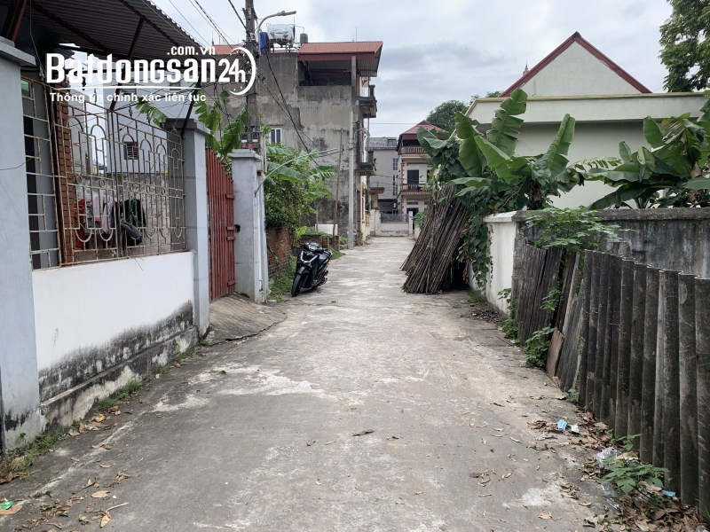 Cần bán gấp lô góc 196m2 phân lô đẹp tại Nguyên Khê, Đông Anh, đường