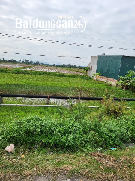 Cần bán lô đất vị trí đẹp giá rẻ tại  - Xã Quảng Phong - Huyện Quảng