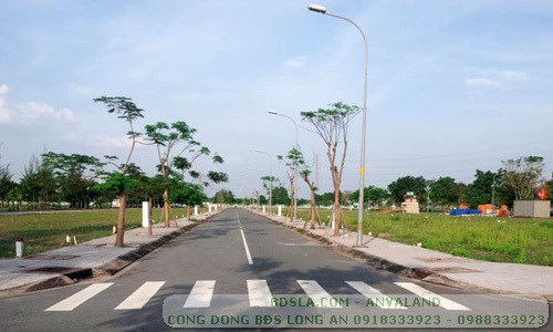 Cho con du học Bán gấp 300m2 đất thổ đường nhựa 8m, P6, Tân An, Long