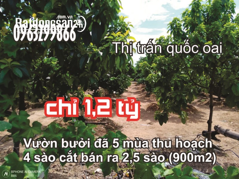 Bán 2,5 sào đất trang trại chỉ 1,2 tỷ