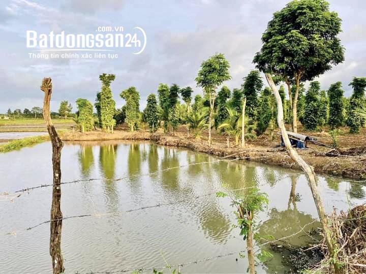 🔥Cần Bán Gấp 3 Lô Đất Đẹp Ngay Trung Tâm Chợ