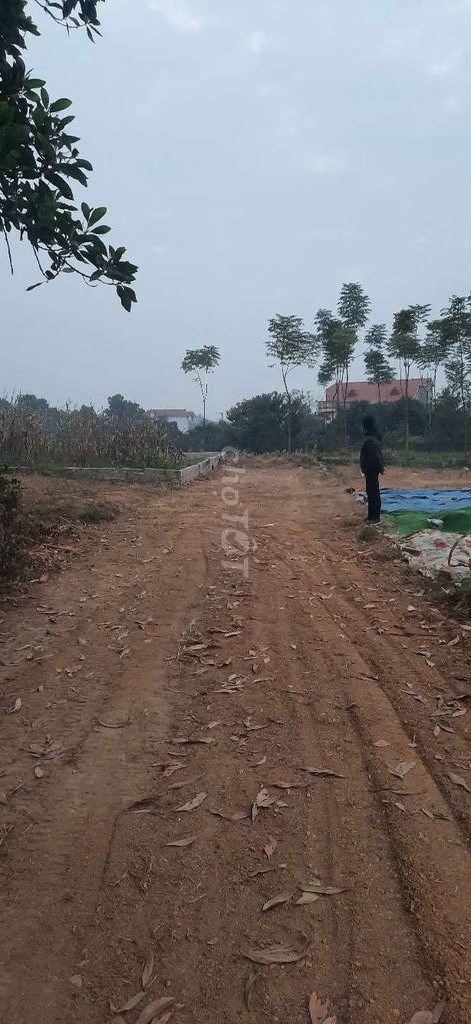 Chính chủ cần bán 200 m2 đất thổ cư J106, Thị trấn Xuân Mai, Huyện