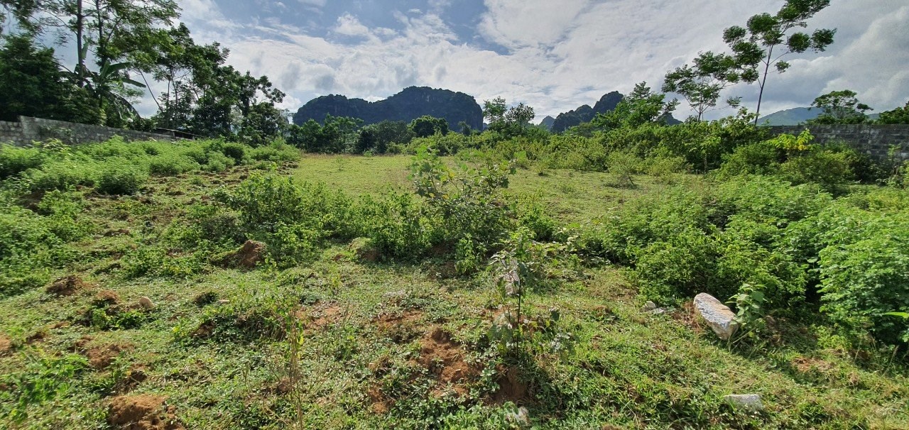 Chính chủ cần bán gấp 2207,9 m2 đất thổ cư mặt tiền hơn 40m tại Lương