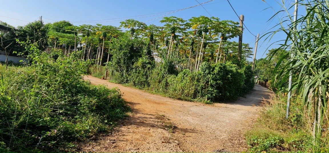 CẦN BÁN LÔ ĐẤT TẠI THÀNH PHỐ BÀ RỊA