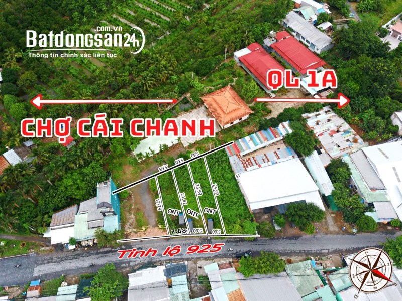 BÁN GẤP 3 LÔ ĐẤT SIÊU ĐẸP GIÁ CỰC CẠNH TRANH LIỀN KỀ KHU TÂY ĐÔ