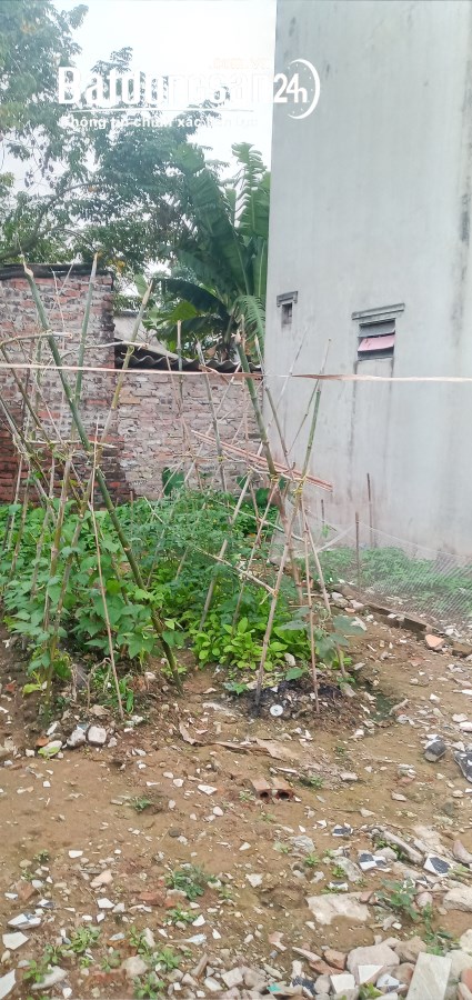 Bán đất Đường Tả Thanh Oai, Xã Tả Thanh Oai, Huyện Thanh Trì 1.18 Tỷ