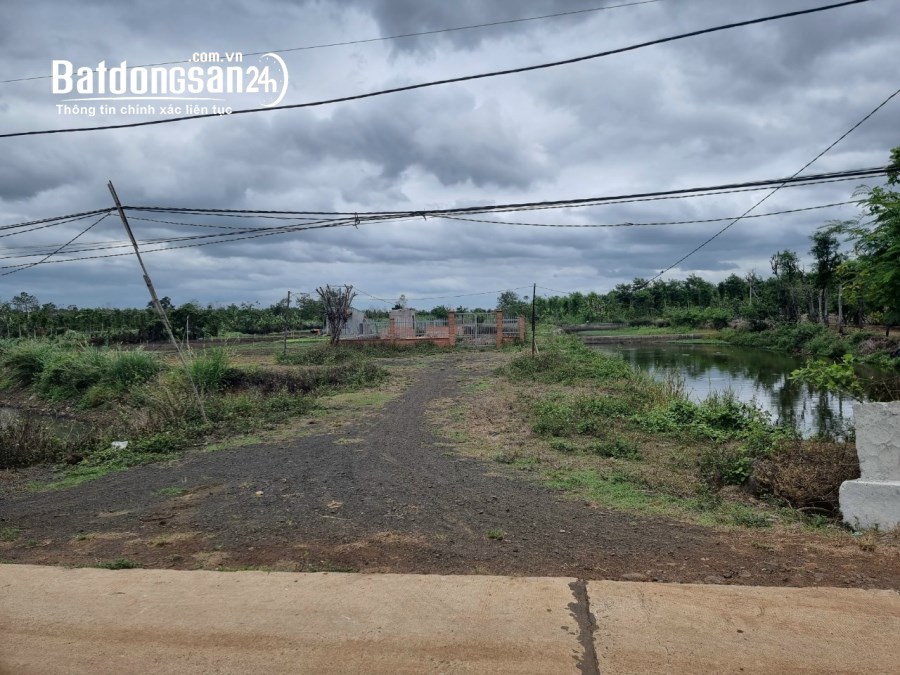Bán đất nông nghiệp giáp danh thổ cư tại thôn 8, Xã Hòa Khánh, TP Buôn Ma Thuột.799tr