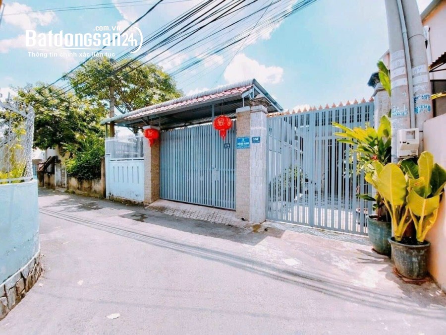Bán NHANH Đất Biệt Thự 160m2 Tặng Nhà Cấp 4 Còn Ở Tốt P. Tân Phong, Biên Hoà