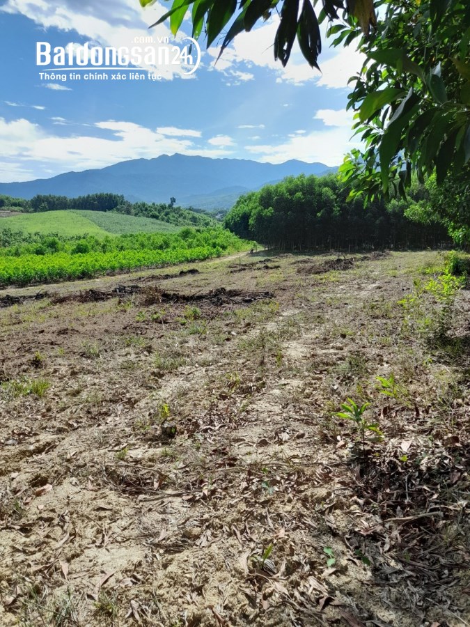 Bán đất Đường 1, Xã Diên Xuân, Huyện Diên Khánh