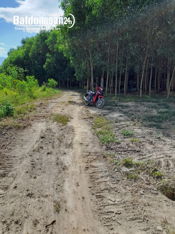 Bán đất Đường 1, Xã Diên Xuân, Huyện Diên Khánh