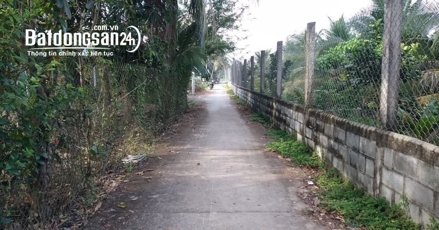 Đất bằng phẳng nằm trong tứ giác Đại học Tiền Giang & Bệnh viện Tiền Giang